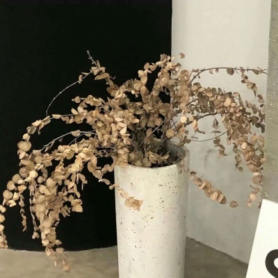 Furry插画背景绘制技巧福瑞交流群